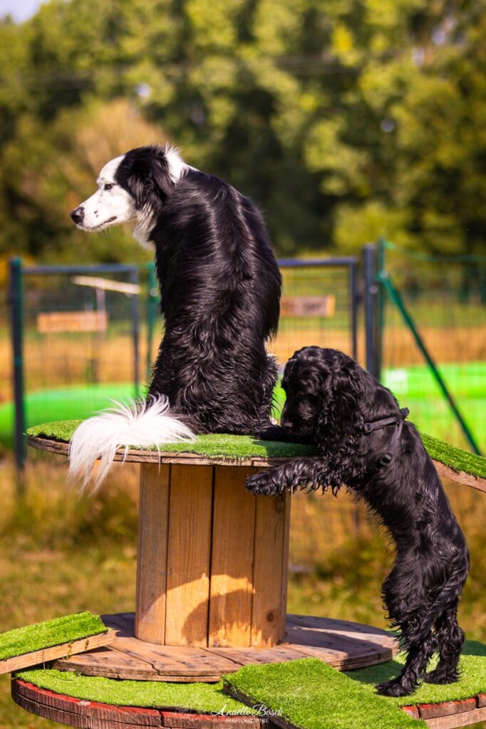 Parc Canin 